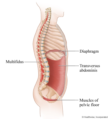 ab workouts at home