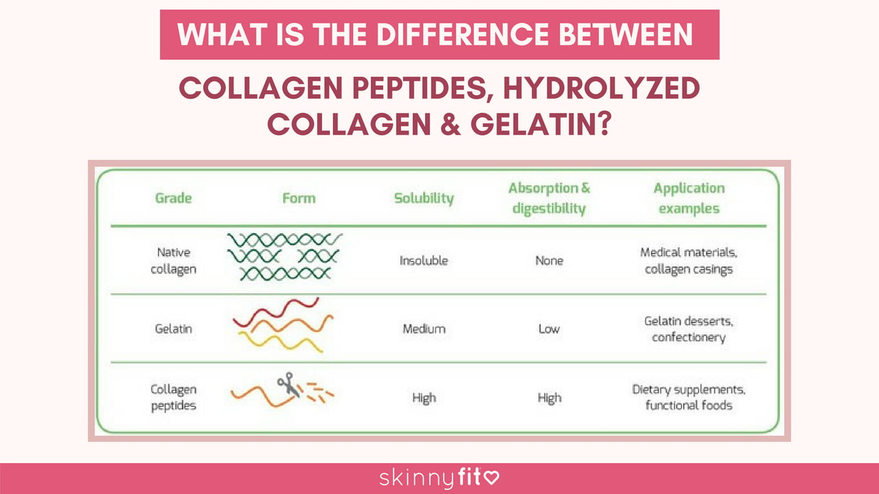 what is the difference between collagen peptides, hydrolyzed collagen, and gelatin?