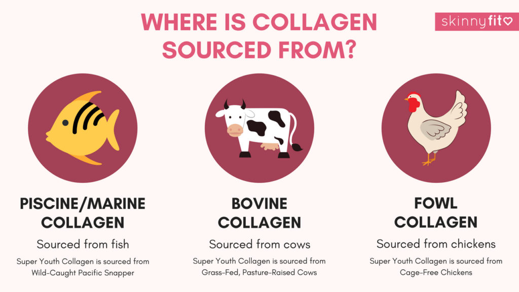 What Are Collagen Peptides? 5 Things You Need To Know