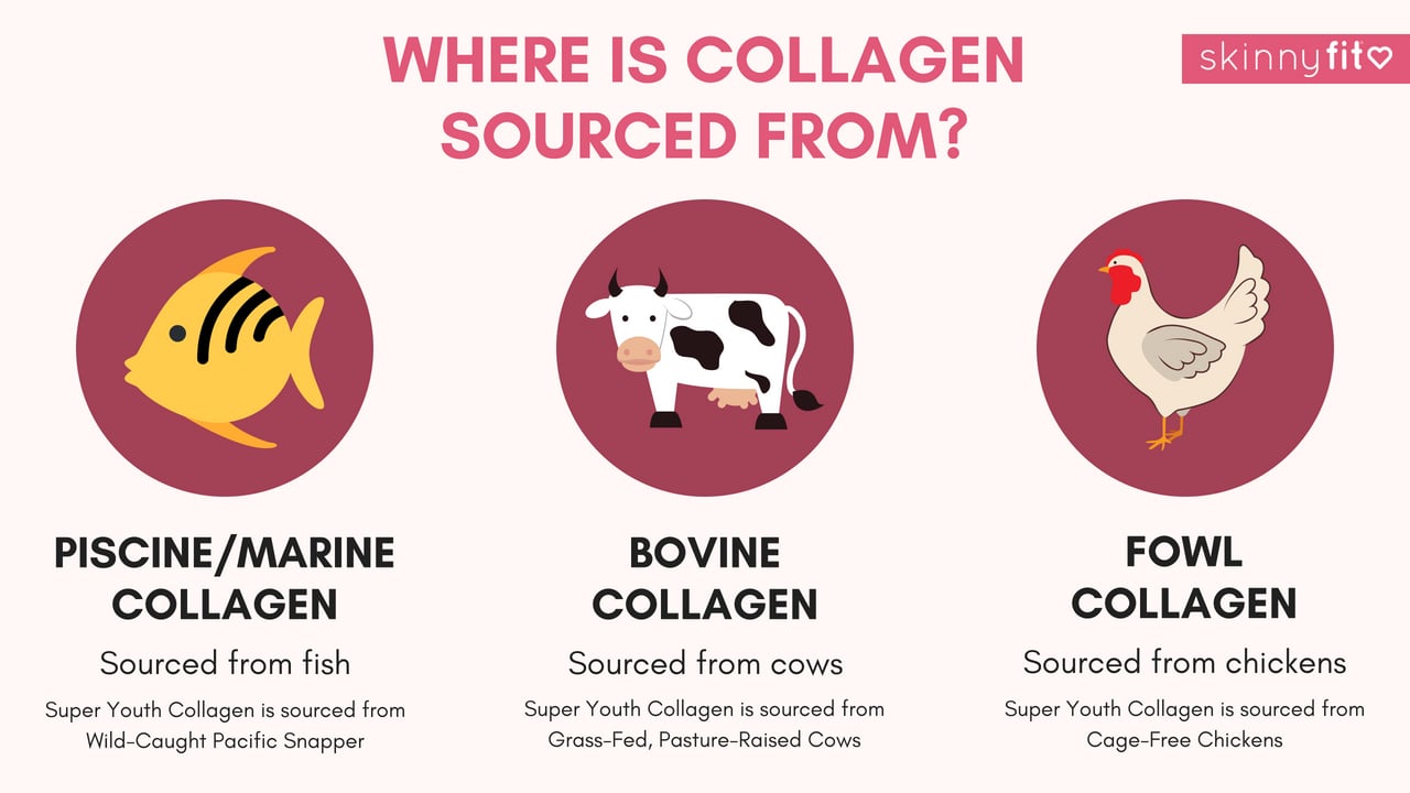 collagen sources