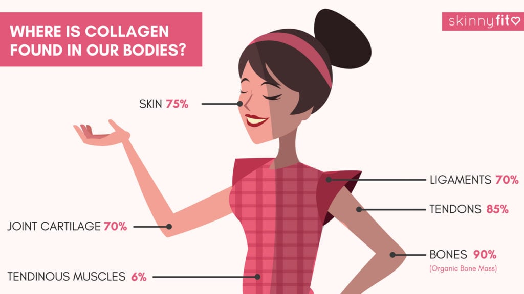 What Are Collagen Peptides? 5 Things You Need To Know