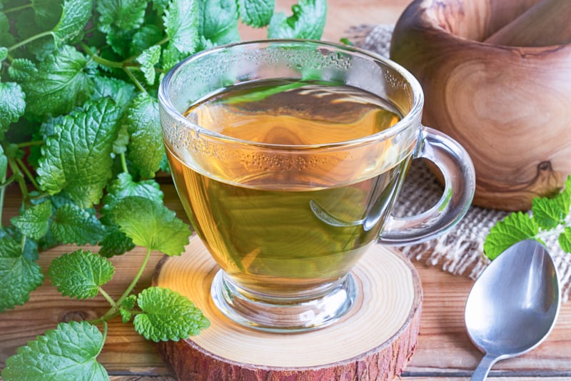 lemon balm tea for sleep