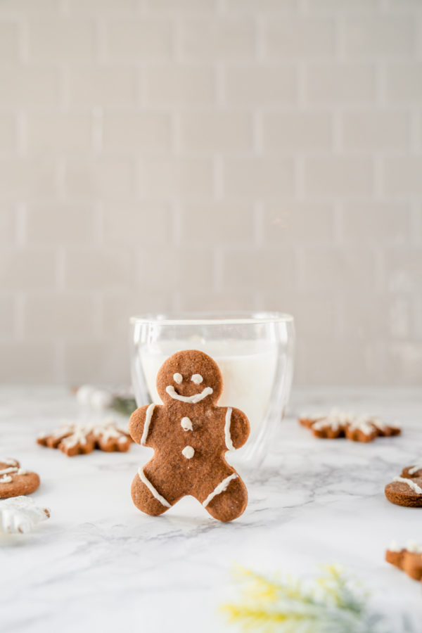 healthy gingerbread cookies