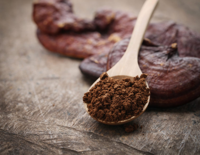 What Is The Best Mushroom Powder? Benefits, Uses, & Types