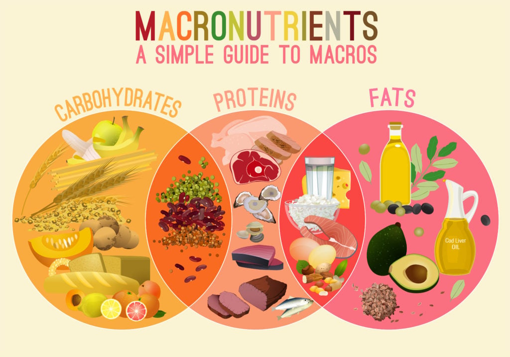 How To Count Calories And Macros At Home Using Food Scale, Complete Guide, Step 3C