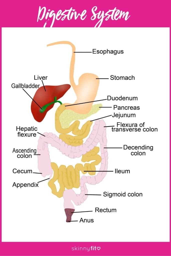 gastrointestinal distress 