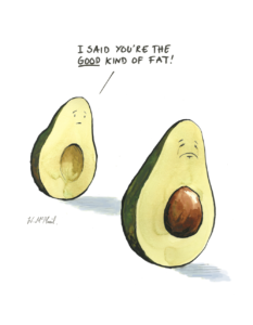 Cartoon of one avocado pleading to the other "I said you're the good kind of fat!" by Will McPhail