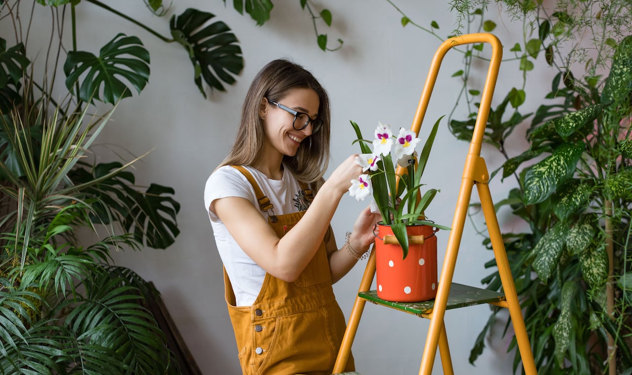 A woman caring for her indoor plants