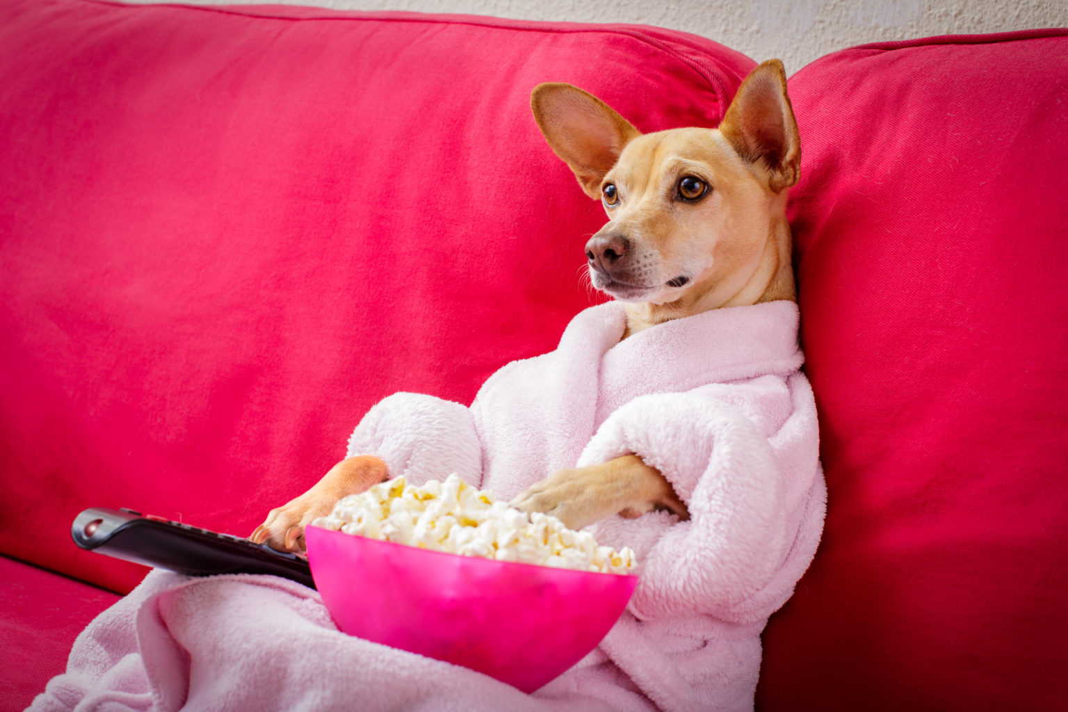 addicting shows to binge