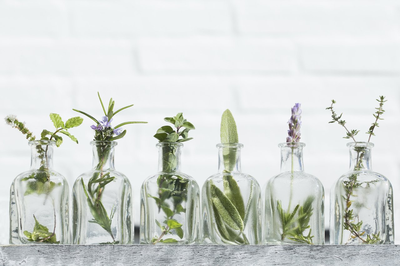 Row of fresh picked herbs in small glass jars to make essential oils for sleep