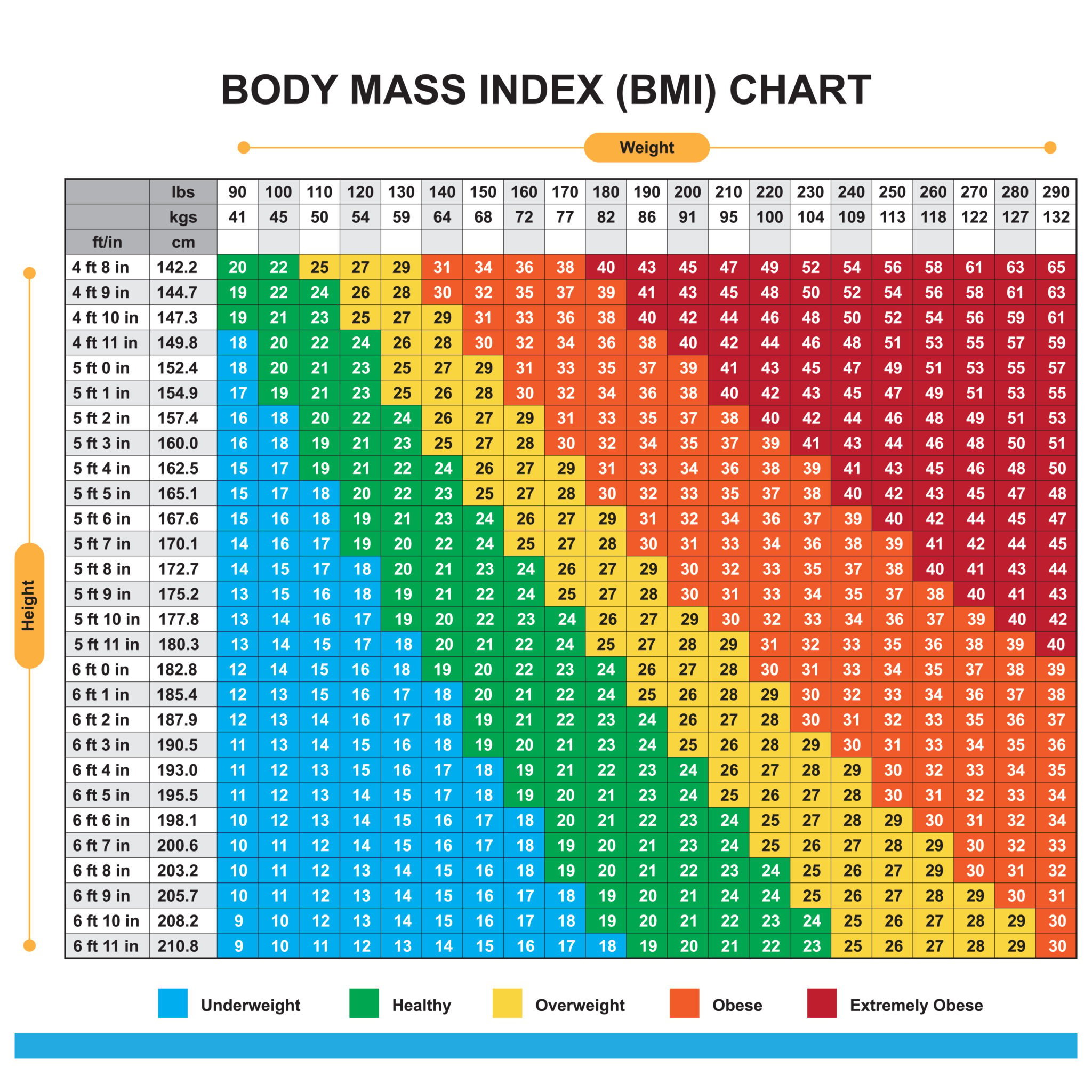 Body mass scale
